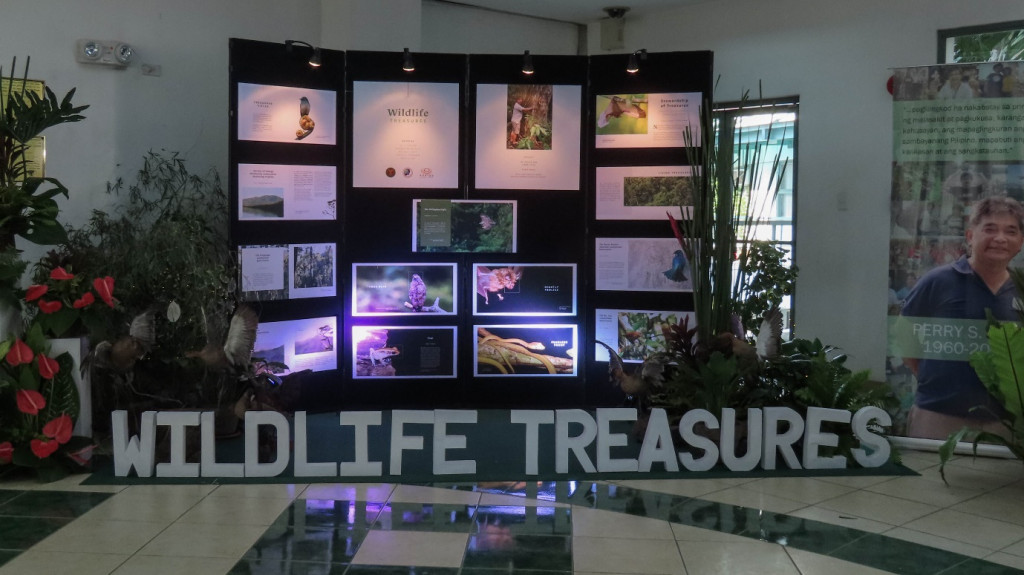 A mini-exhibit showcasing some of the photographs of endemic wildlife species showcased in the book. Photo credit: Abigail L. Garrino