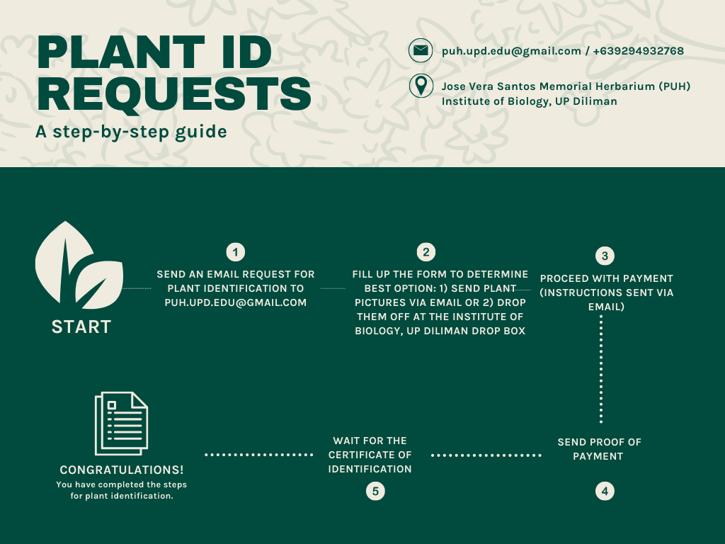 Plant ID Step-by-step Guide​_Poster