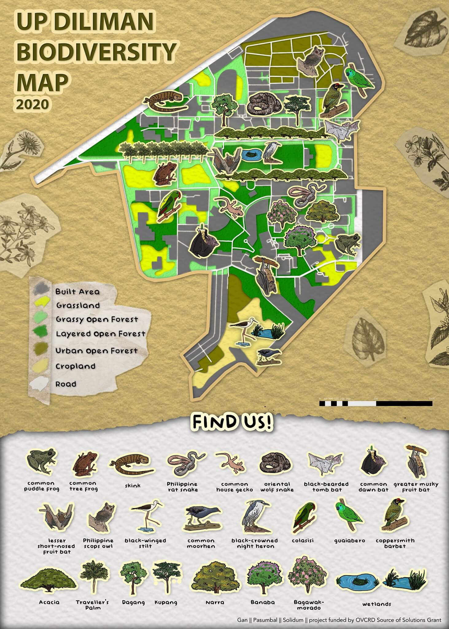 Urban Biodiversity Of UP Diliman_Poster