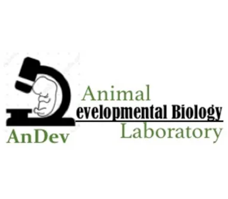 Animal Developmental Biology Laboratory Logo