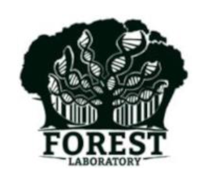 Forest Ecology, Systematics and Taxonomy Laboratory Logo