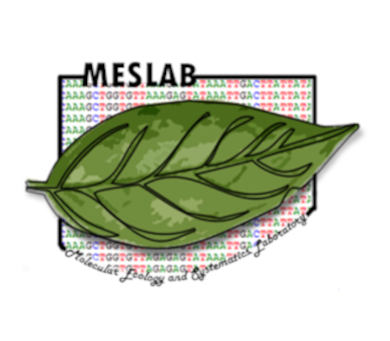 Molecular Ecology and Systematics Laboratory Logo