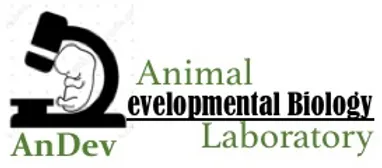 Animal Developmental Biology Laboratory Logo