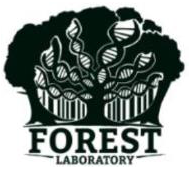 Forest Ecology, Systematics and Taxonomy Laboratory Logo