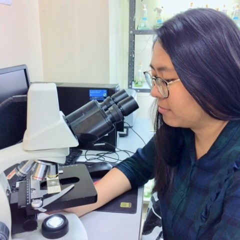 Plant Molecular Biology and Genetics Laboratory - Image 6