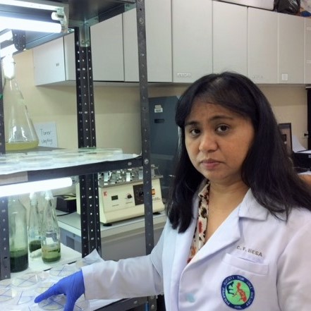 Plant Molecular Biology and Genetics Laboratory - Image 7