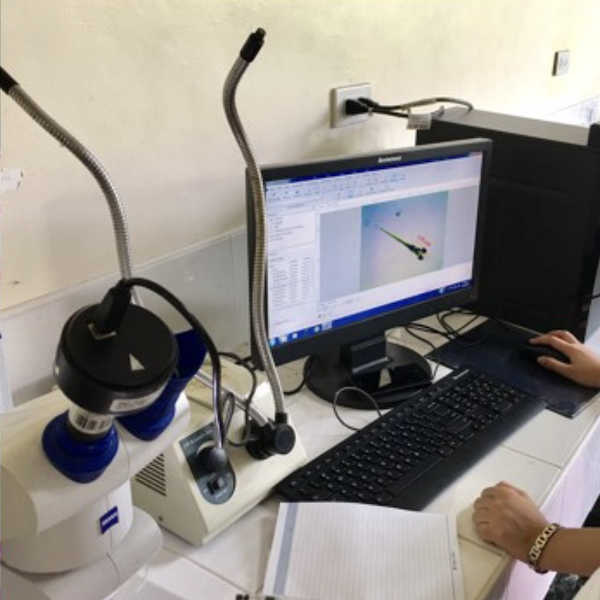 Genotoxicity and Cytotoxicity Assay Laboratory - Service Laboratory Thumbnail