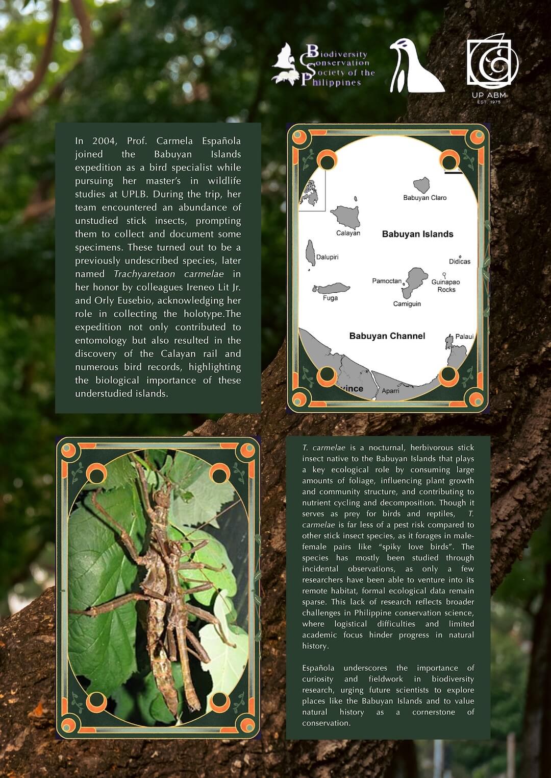 ENTOMORIA - Where wings and colors take flight​_Poster2